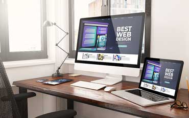 Web Development